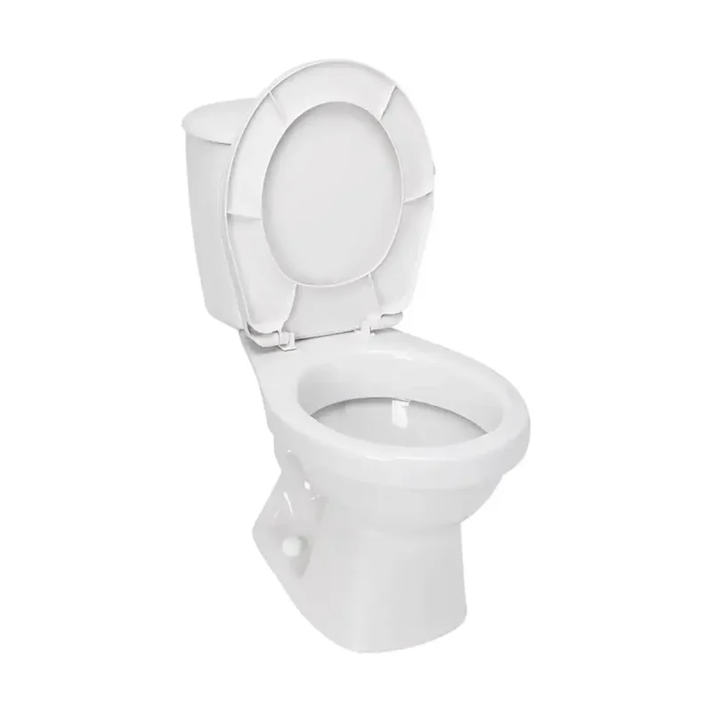 Sanitario Paquete Laguna Pro 4.8 L